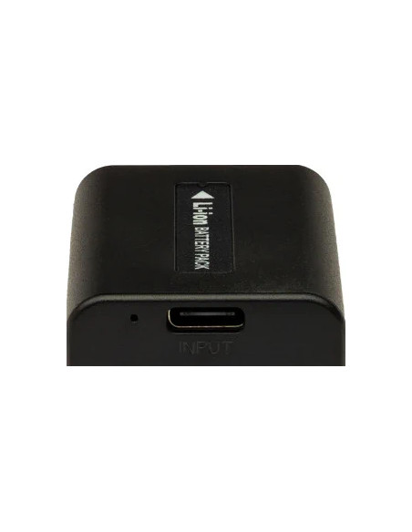 Batteria Platinum con Input USB-C per Sony NP-FV100