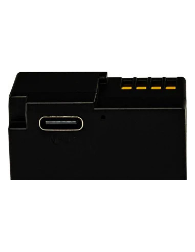 PATONA PLATINUM BATTERY WITH USB-C INPUT FOR PANASONIC DMW-BLC12 FZ2000 FZ300 GX8 G81 GH2