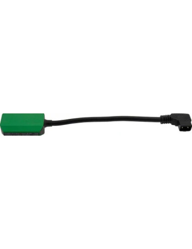 Premium PD100W Adattatore Multifunzionale da D-Tap a USB-C per Alimentazione Telefono