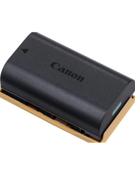 4307C002 LP-EL Batteria