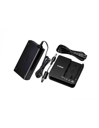 CG-A20 Batteria per videocamera AC