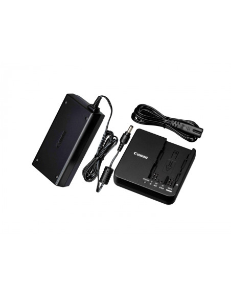 CG-A20 Batteria per videocamera AC