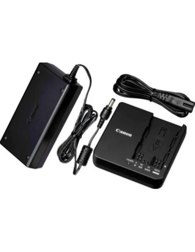 CG-A20 Batteria per videocamera AC