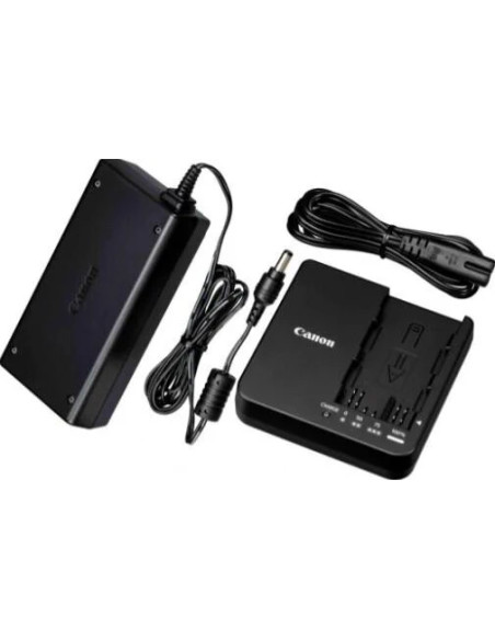 CG-A20 Batteria per videocamera AC