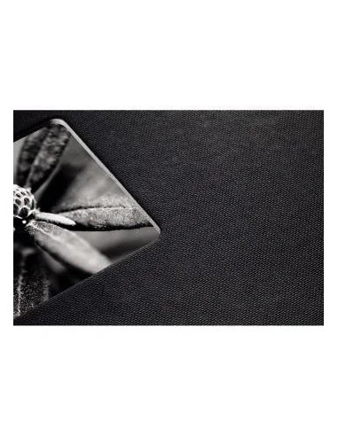 PATONA CARICATORE PER NIKON EN-EL25 ENEL25 Z50 Z FC