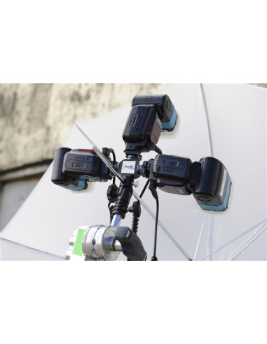 LASTOLITE LR2457JM TRIFLASH ROTANTE JOE MCNALLY