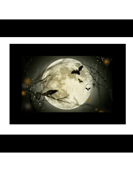 Godox AK-S02 Set Diapositive 2 per Proiettore AK-R21 - 10pz