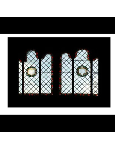 Godox AK-S04 Set Diapositive 4 per Proiettore AK-R21 - 10pz